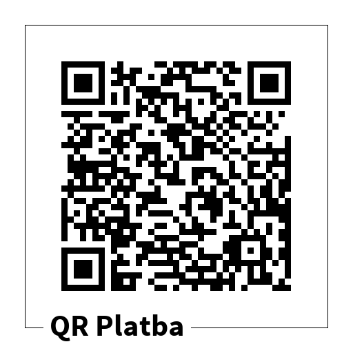 QR kód 250